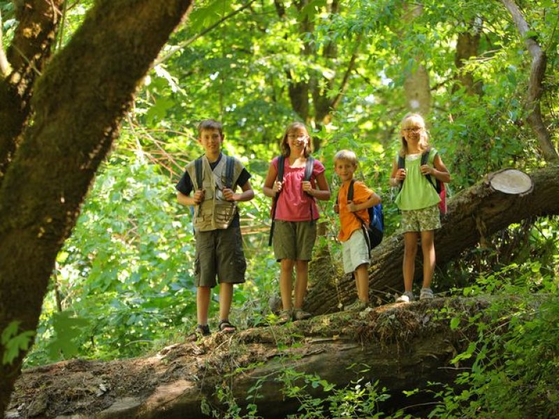 Howell Nature Center Summer Camps